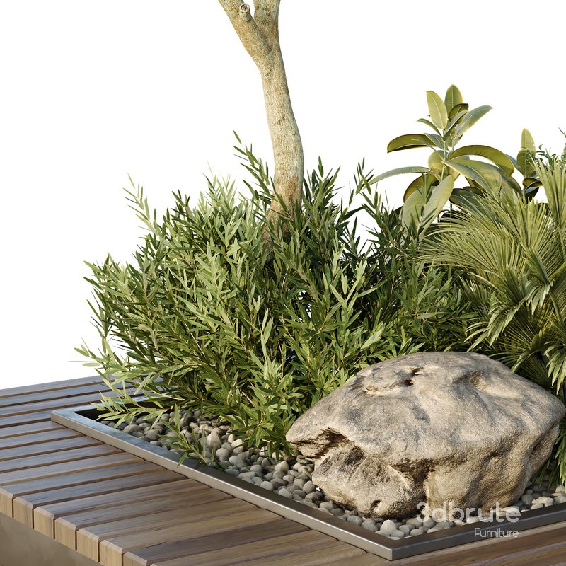 HQ Tree and bush garden box outdoor VOL 46 Image 3