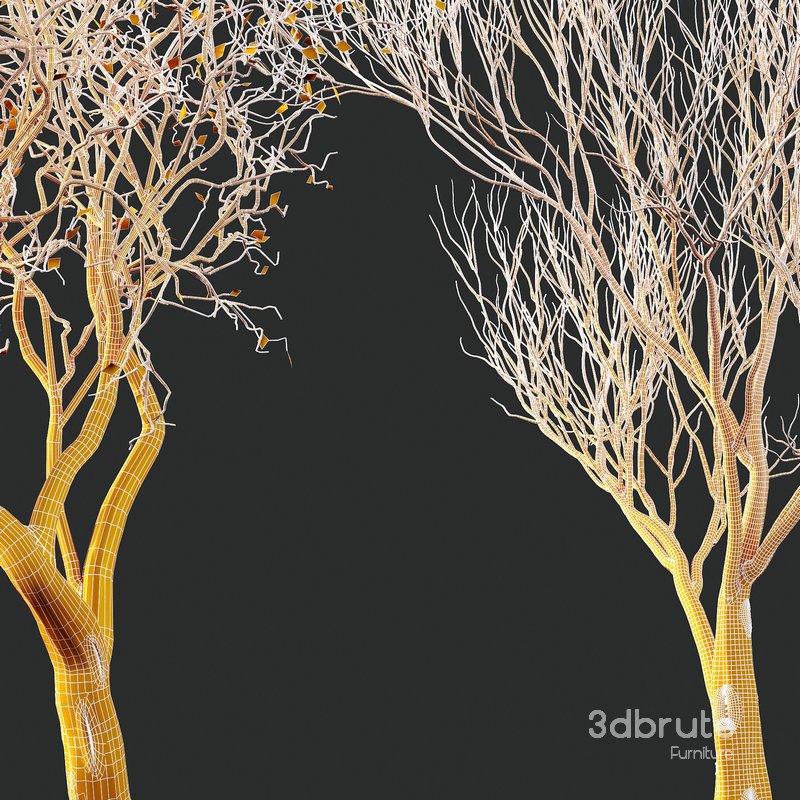 Dry Or Dead Tree 03 Image 1