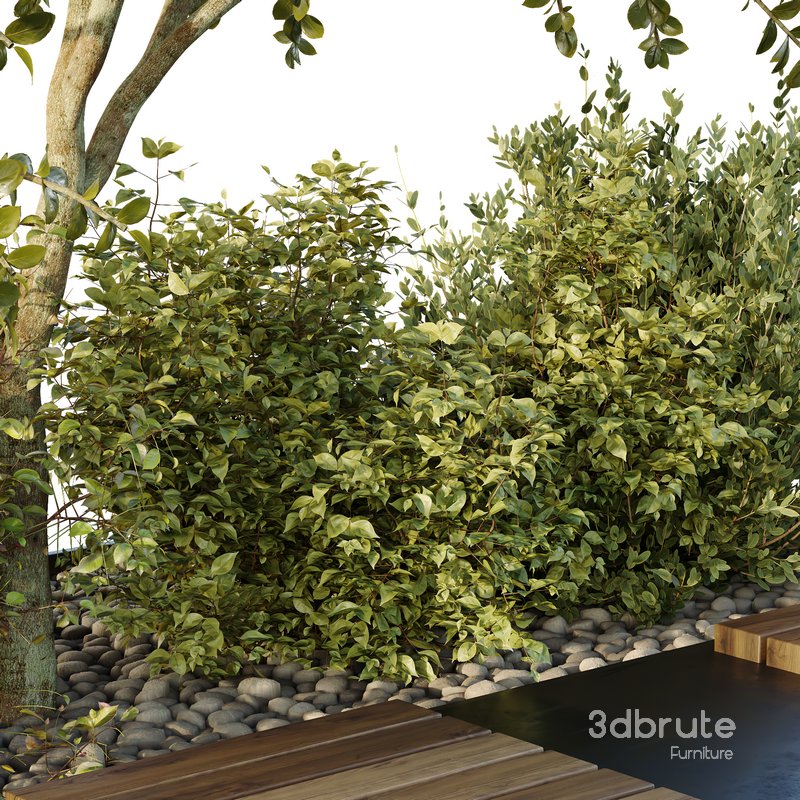 HQ Tree and bush garden box outdoor VOL 54 Image 3