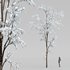 Winter Snow Tree 01 - Thumbnail 2