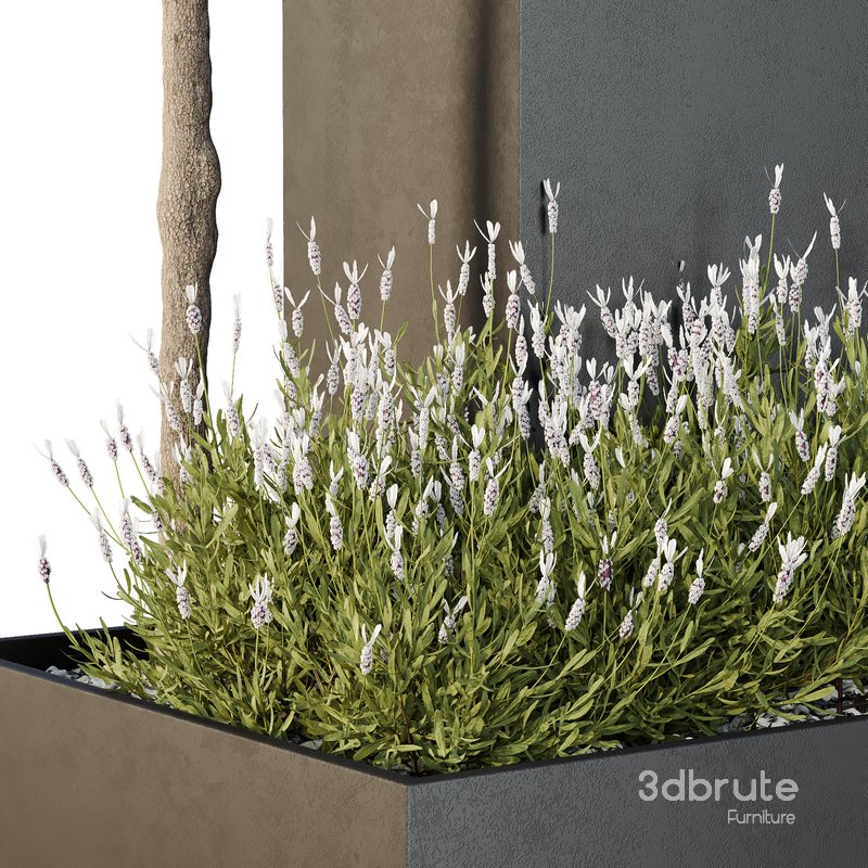 HQ Tree and bush garden box outdoor VOL 50 Image 3