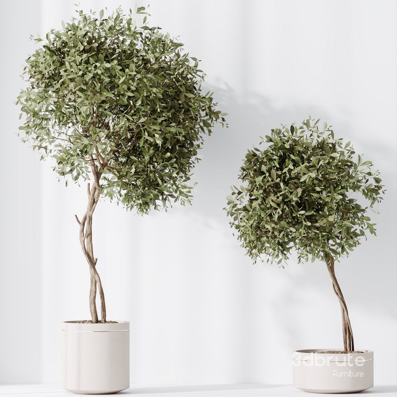 HousePlants Olive Artificial Olivo Olea Tree Image 2