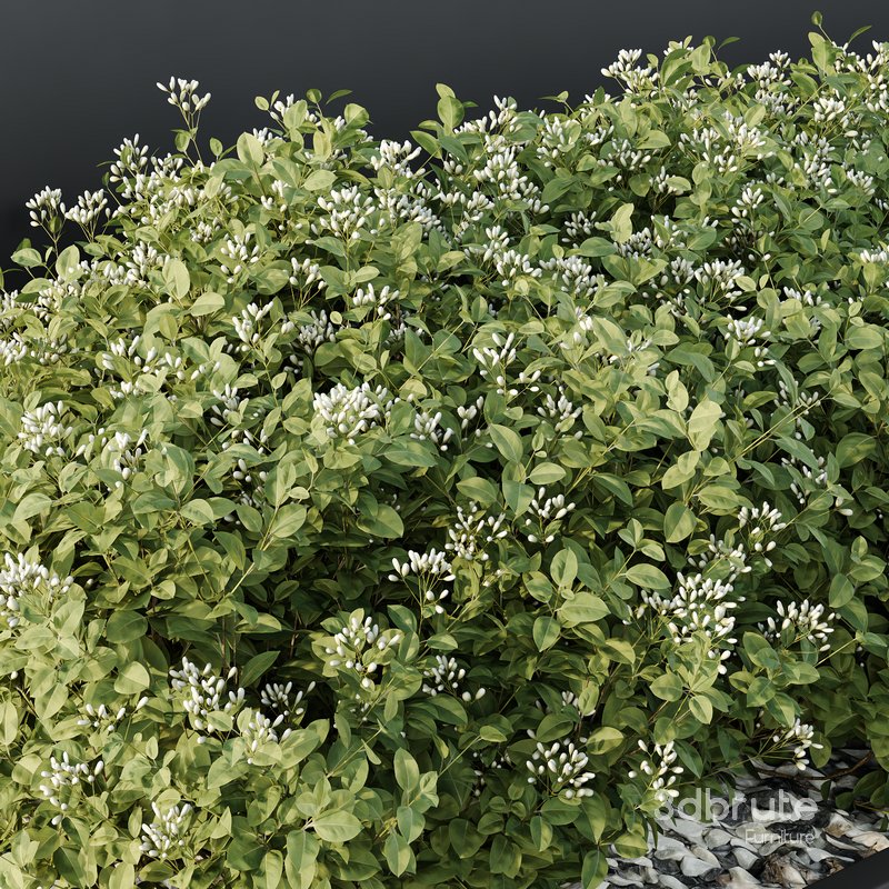 HQ Tree and bush garden box outdoor VOL 53 Image 3