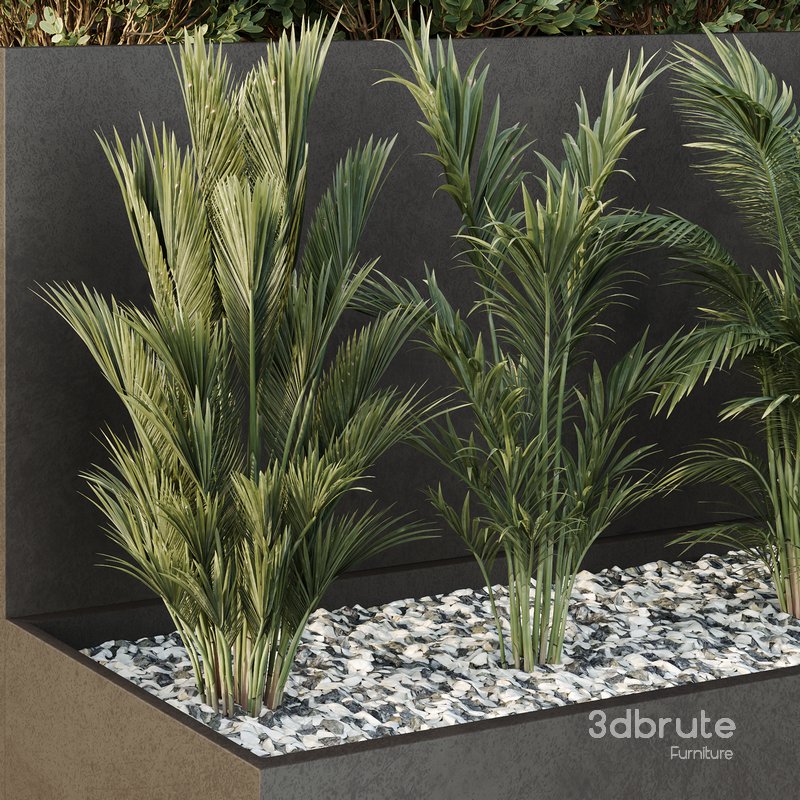 Tree and bush garden box outdoor VOL 55 Image 3