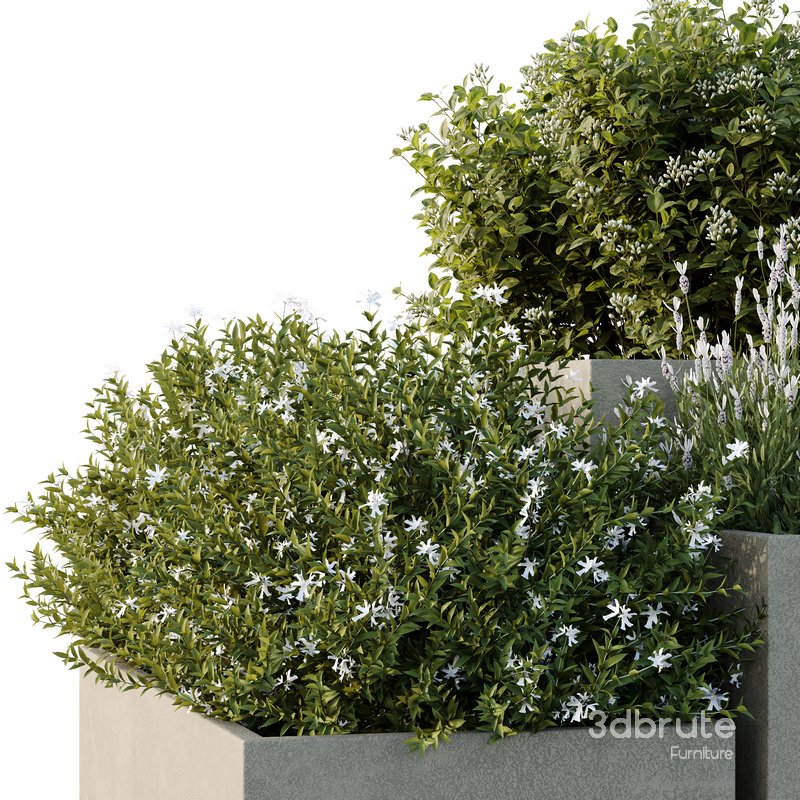 HQ Tree and bush garden box outdoor VOL 51 Image 4