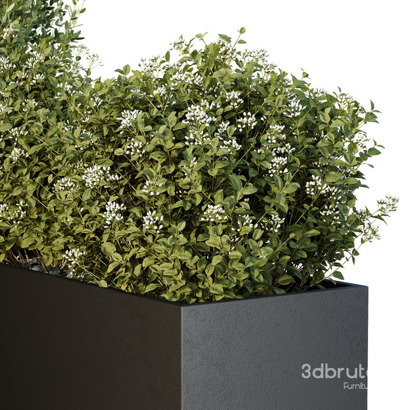 HQ Tree and bush garden box outdoor VOL 50 Image 4