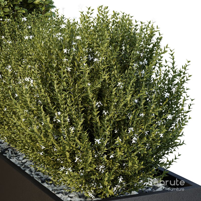 HQ Tree and bush garden box outdoor VOL 49 Image 4