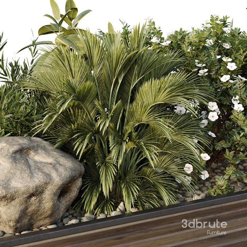 HQ Tree and bush garden box outdoor VOL 46 Image 4