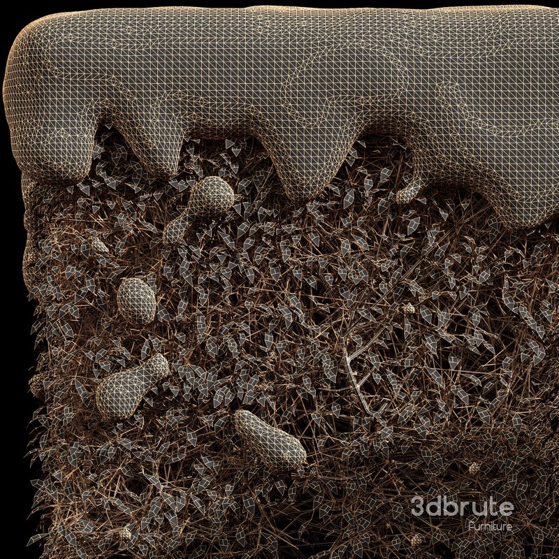 Dwarf Yaupon Holly Box Spherical Cone Winter 02 Image 4