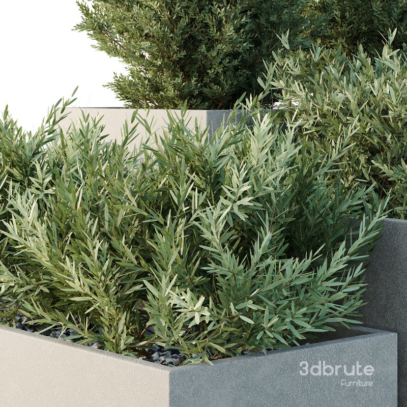 HQ Tree and bush garden box outdoor VOL 52 Image 4