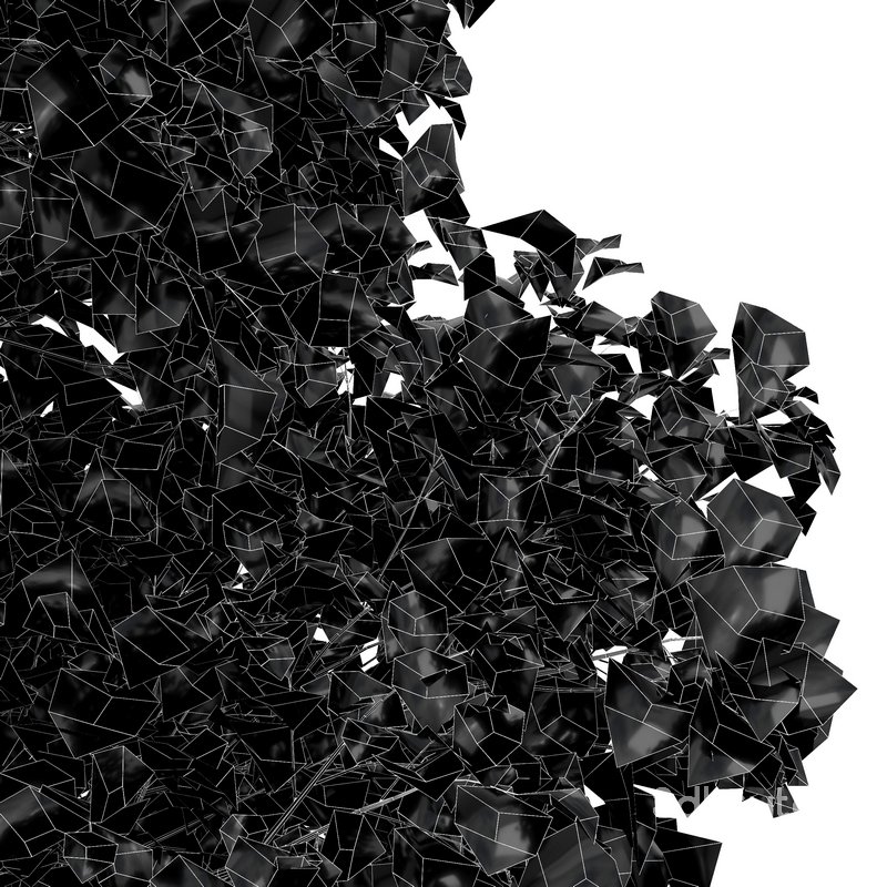 poplar 2 trees Image 4