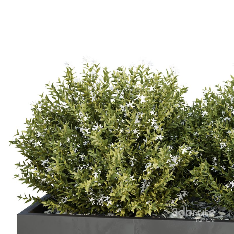 HQ Tree and bush garden box outdoor VOL 46 Image 4