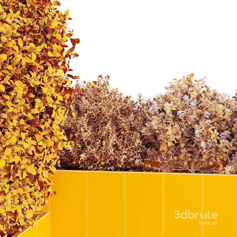 HQ Tree and bush garden box outdoor VOL 46 Image 5