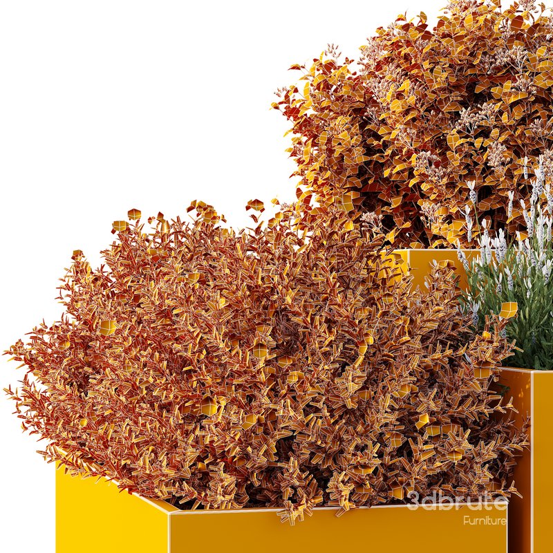 HQ Tree and bush garden box outdoor VOL 51 Image 5