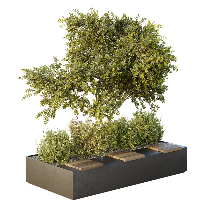 HQ Tree and bush garden box outdoor VOL 54 Image 5