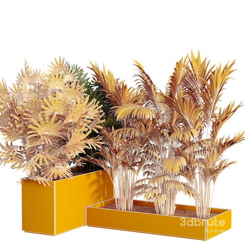 HQ Tree and bush garden box outdoor VOL 44 Image 5