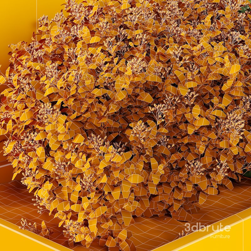 HQ Tree and bush garden box outdoor VOL 53 Image 5