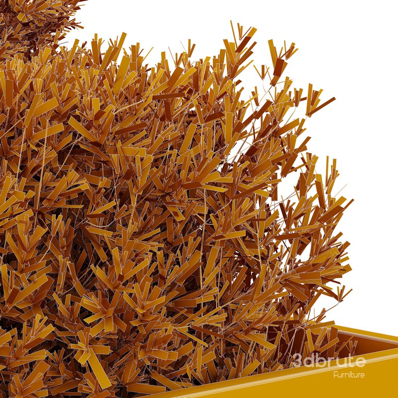 HQ Tree and bush garden box outdoor VOL 52 Image 5