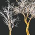 Dry Or Dead Tree 01 - Thumbnail 6