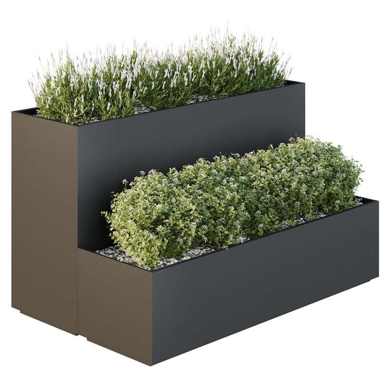 HQ Tree and bush garden box outdoor VOL 53 Image 6