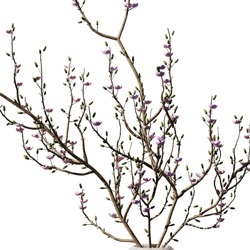 Dry Branches Bouquet29 Image 2