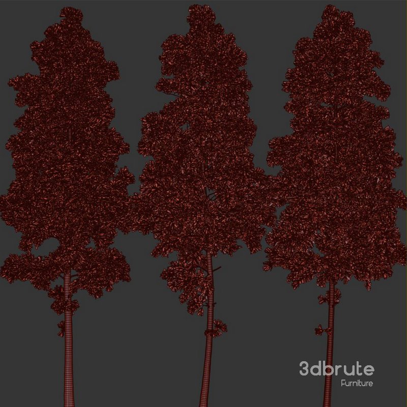 pine tree set Image 3