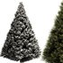 Pine tree set3 - Thumbnail 2