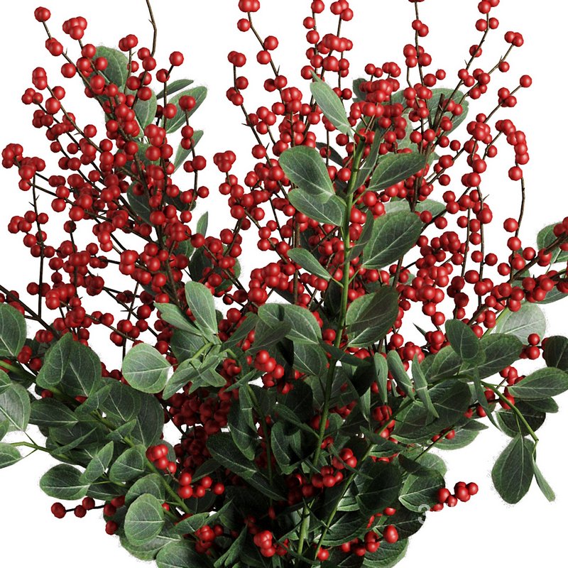 Bouquet Christmas Set3 Image 3