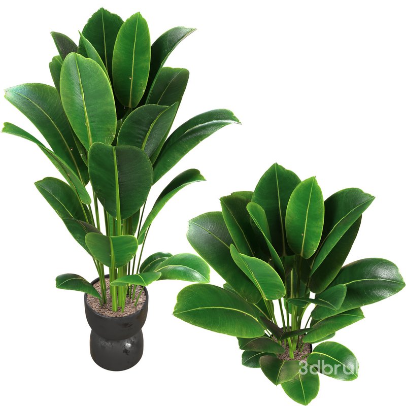 Interior planet Image 2