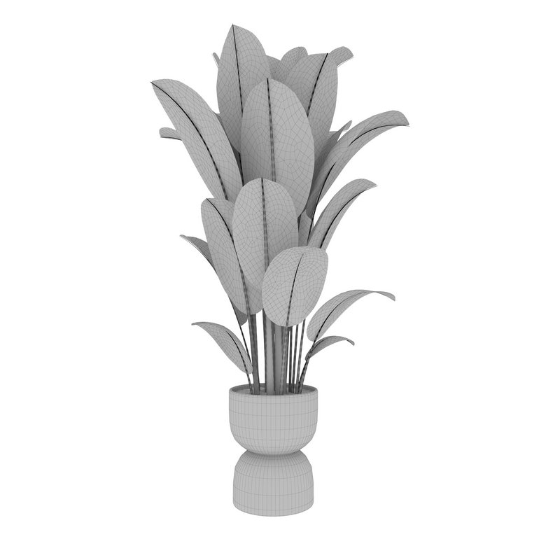 Interior planet Image 3