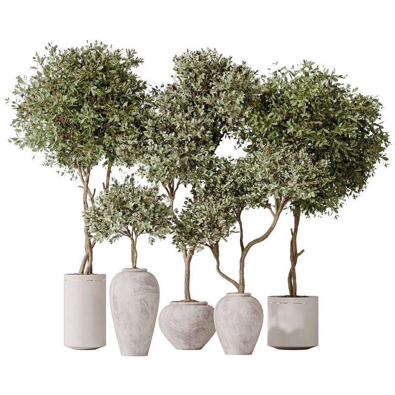 Artificial Olivo Olea Tree Indoor Vase Image 1