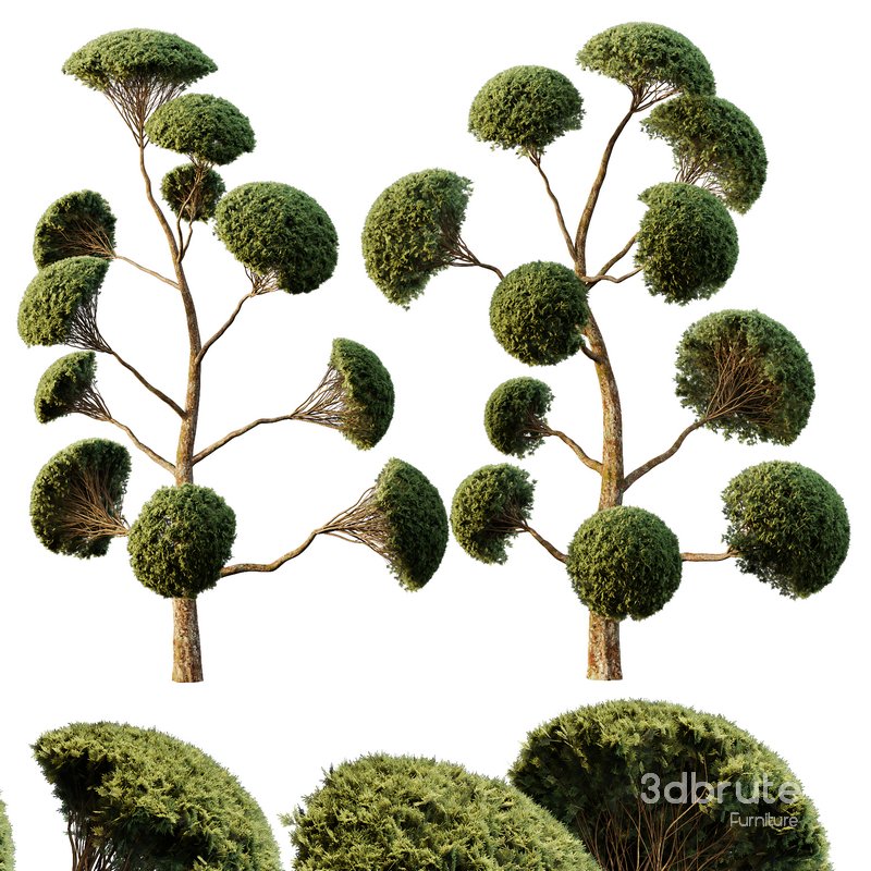 Spherical tree02 Image 1