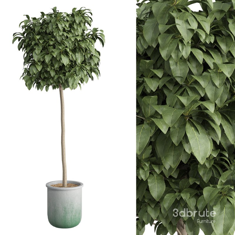 Bushes set 01 Image 1