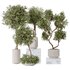 Olive Artificial Olivo Olea Tree - Thumbnail 2