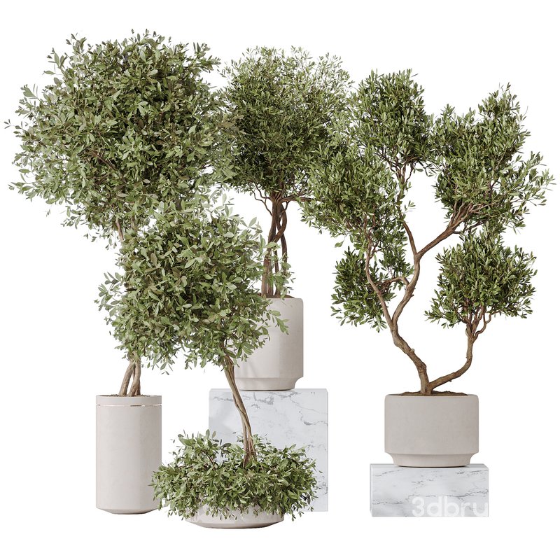 Olive Artificial Olivo Olea Tree Image 2