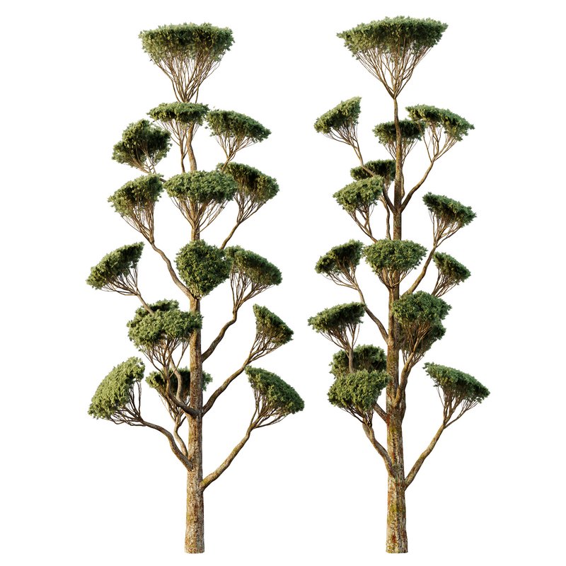 Spherical tree05 Image 1