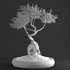 bonsai on skull in pot 09 - Thumbnail 5