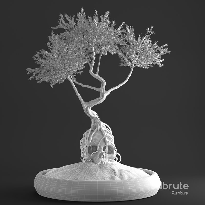 bonsai on skull in pot 09 Image 5