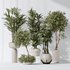 Indoor plant set 02 - Thumbnail 1