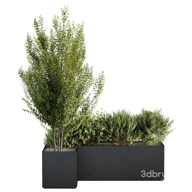 HQ Tree and bush garden box outdoor VOL 57 Image 1