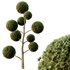 Spherical tree04 - Thumbnail 2