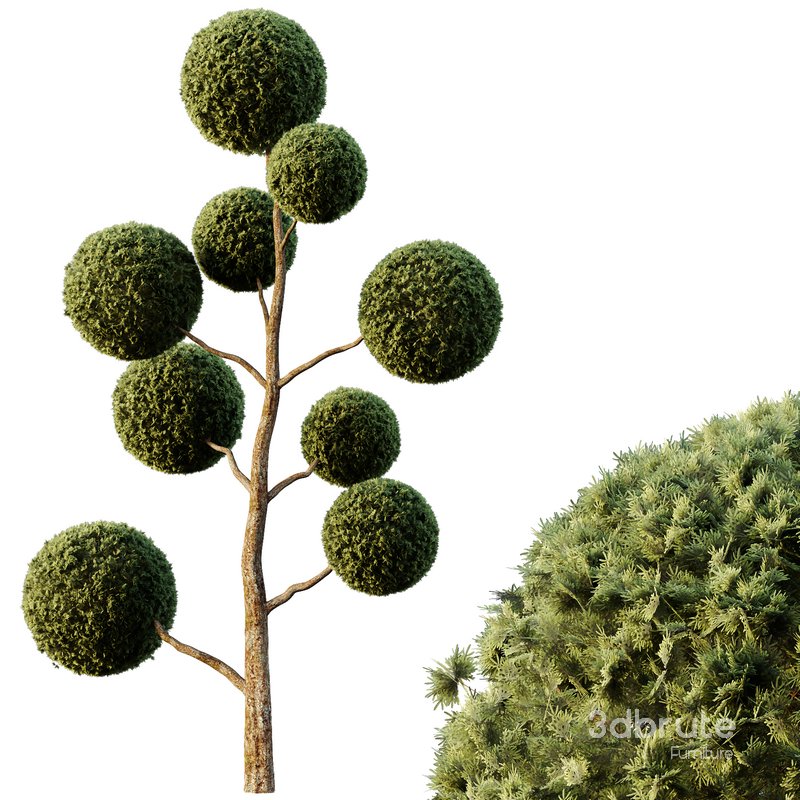 Spherical tree04 Image 2