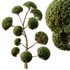 Spherical tree02 - Thumbnail 3