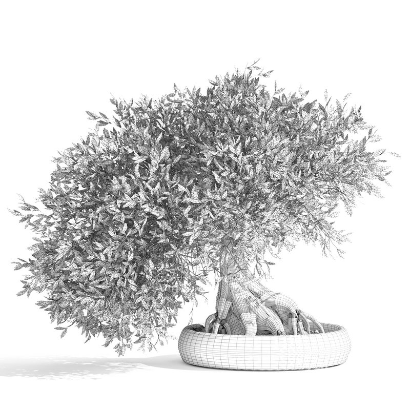 bonsai indoor plant set 03 3D model Image 2