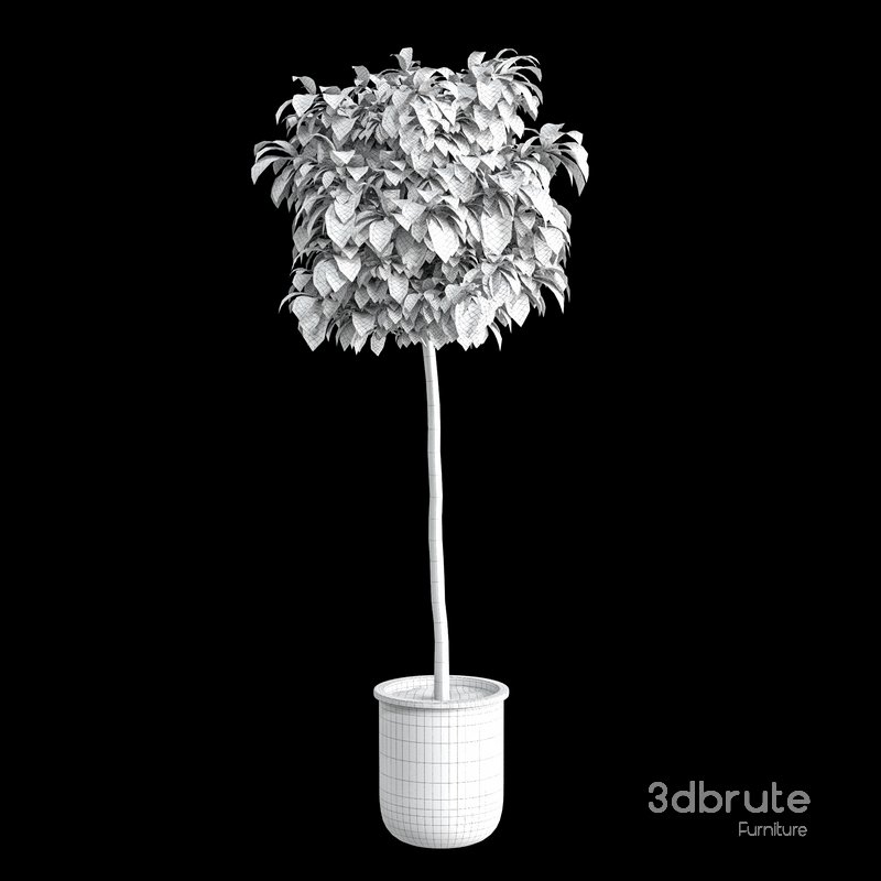 Bushes set 01 Image 2