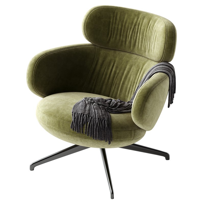 Bibo Armchair Image 4