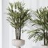 Dracaena Warneckii Lemon and Rhapis Excelsa vases - Thumbnail 5