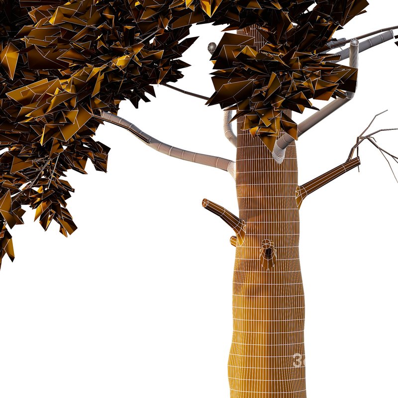 Chamaecyparis thyoides Tree05 Image 4