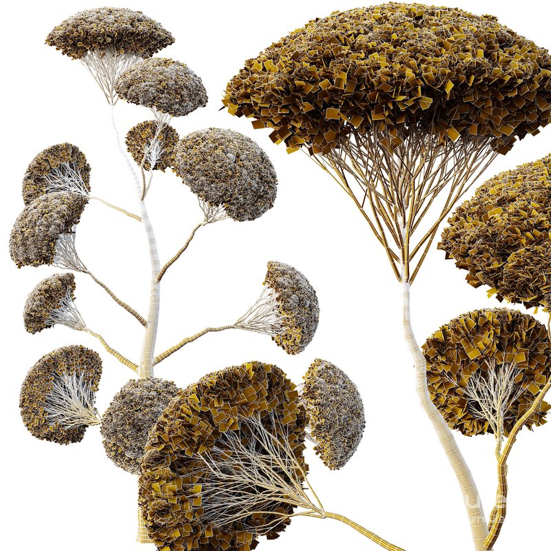 Spherical tree02 Image 4