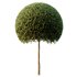 Spherical tree03 - Thumbnail 4